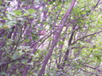 100_1702.jpg